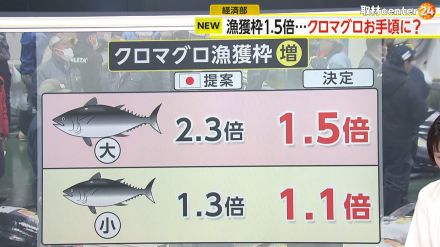 【解説】クロマグロ漁獲量アップ決定へ　大幅な増枠には至らずも…漁獲枠“1.5倍”でお手頃価格になる可能性も