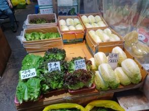 サンチュ、焼き肉に欠かせないのに…韓国で大きく値上がり