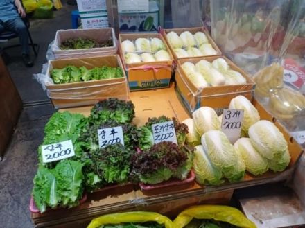 サンチュ、焼き肉に欠かせないのに…韓国で大きく値上がり