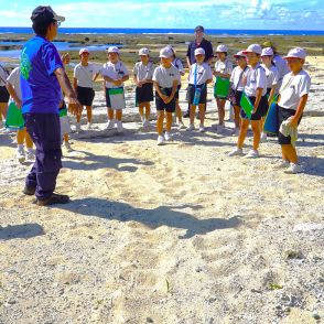 鹿児島県　ウミガメの産卵守りたい　面縄小5年「徳之島環境調査隊」　痕跡調査と美化活動