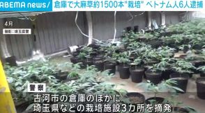 茨城の倉庫で大麻草約1500本を栽培 ベトナム人6人逮捕 販売目的か