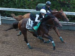 【中京記念】セオ　勢い止まらん！上村師を背に坂路でビッシリ併せ馬