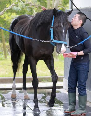 ドゥレッツァ　参戦予定の英インターナショナルＳでルメールに鞍上を打診　ノースブリッジは札幌記念へ