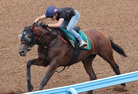 ヴィジョンメーカー「フィジカル面の心配はないし将来性がありそう」と林師／新馬戦