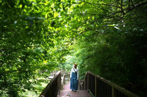 首都圏なのに絶滅危惧種を含む “2,000種以上の動植物たち” が暮らす!　三浦半島「小網代の森」へ行ってきた【24年 散策レポート】