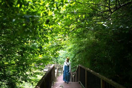 首都圏なのに絶滅危惧種を含む “2,000種以上の動植物たち” が暮らす!　三浦半島「小網代の森」へ行ってきた【24年 散策レポート】