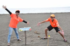 青島海水浴場にウミガメが産卵