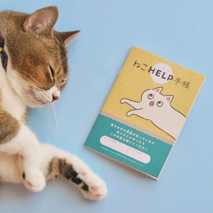 緊急時に役立つ「ねこHELP手帳」家で待つ愛猫を悲しませないために［猫を愛したくなる26のトリビア］