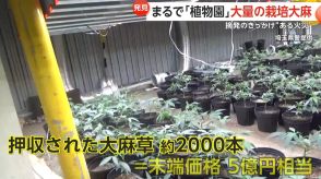 まるで「植物園」…倉庫から大量の“栽培大麻”　ベトナム人男女6人逮捕　約2000本、末端価格