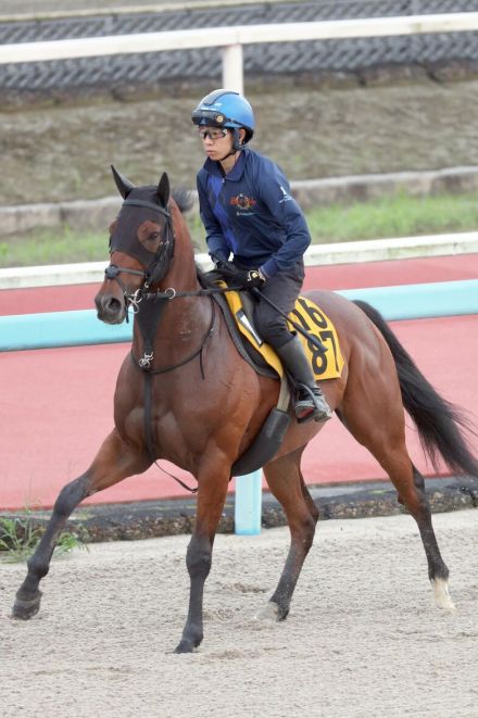 【中京記念】馬体絞れてパフォーマンス向上　ボーデンはスムーズに折り合って登坂