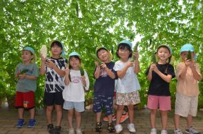 「天ぷらにして食べる」　「花の海」で園児がゴーヤの収穫体験【山陽小野田】