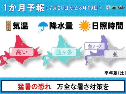 北海道の1か月予報　ぐずついた天気となる恐れ　北海道らしからぬ蒸し暑さにも注意