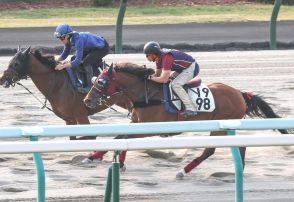 JRAで現役は２頭だけ、リヤンドファミユ産駒マメコがオープン初勝利目指す／しらかばＳ