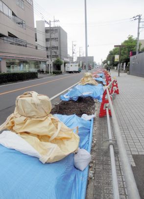 「景観100選」のケヤキ、現場判断で伐採　市長、市民に陳謝　今後は事前の情報共有徹底　市川