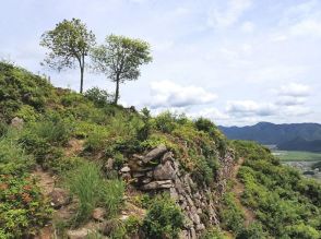 まるで竹田城!　本当は教えたくない「穴場の絶景山城」実踏登山レポ