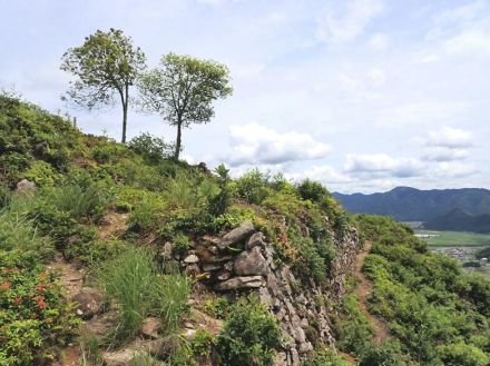 まるで竹田城!　本当は教えたくない「穴場の絶景山城」実踏登山レポ