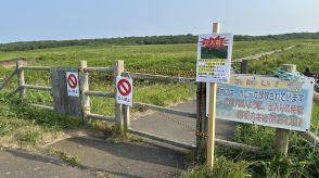 ヒグマと列車が衝突…乗客にケガなし…線路上でクマが動かなくなったため列車が運休…クマの様子確認するためハンター出動要請　原生花園でもクマ目撃 立入禁止に　北海道根室市