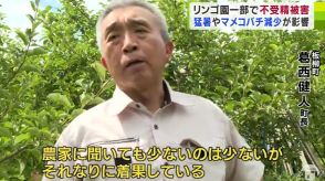 青森県板柳町・葛西健人町長がリンゴの生育状況を確認する現地視察　一部リンゴ園での「開花量不足」や「カラマツ被害」を懸念