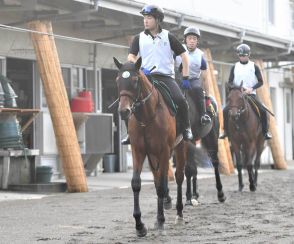 【今週の注目新馬】アスコリピチェーノのいとこ〝超良血一族〟ヴィジョンメーカーが土曜福島で初陣　「将来性や成長力」が楽しみな素材