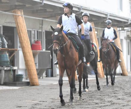 【今週の注目新馬】アスコリピチェーノのいとこ〝超良血一族〟ヴィジョンメーカーが土曜福島で初陣　「将来性や成長力」が楽しみな素材