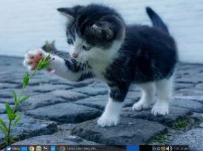 「Linux Lite 7.0」を試す--軽快な動作と豊富なアプリ、高いカスタマイズ性