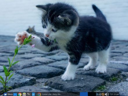 「Linux Lite 7.0」を試す--軽快な動作と豊富なアプリ、高いカスタマイズ性