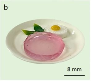 焼くと肉の風味が薫るピンクなゼリー　その正体は“培養肉”　韓国の研究者らが開発
