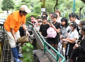 夕暮れ時の動物観察　宮崎市動物園で閉園後イベント