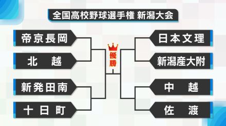 【新潟8強・選手一覧】甲子園へ残り3勝!シード校は帝京長岡・日本文理　新発田南・十日町・佐渡の公立校が快進撃