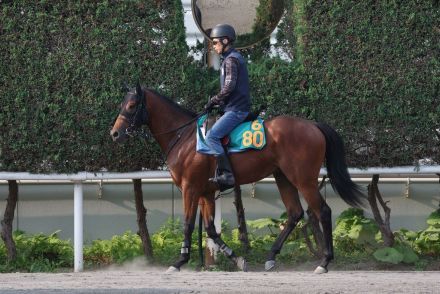 札幌開幕！　日曜５Ｒ新馬戦で良血が激突　昨年はステレンボッシュがＶ