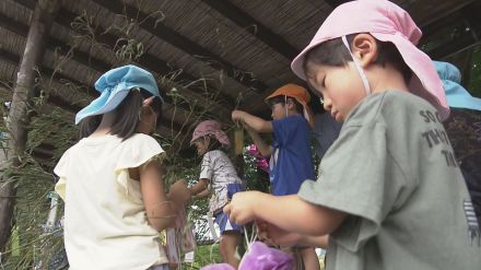 「逆上がりができますように…」旧暦で行う8月7日の七夕に向けて 園児たちが笹に飾り付け　岐阜 高山市