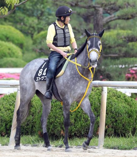 【注目馬動向】エトヴプレはキーンランドＣへ　モズゴールドバレルはクイーンＳで高杉吏麒騎手とコンビ