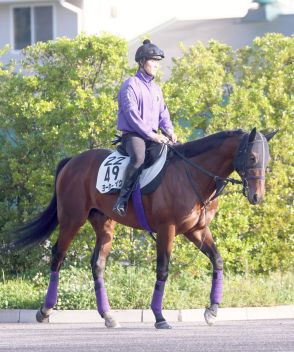 【注目馬動向】鳴尾記念勝ちのヨーホーレイクは毎日王冠から始動へ