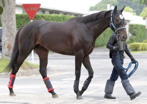 【注目馬動向】京都新聞杯１着のジューンテイク、２着のウエストナウは神戸新聞杯で復帰