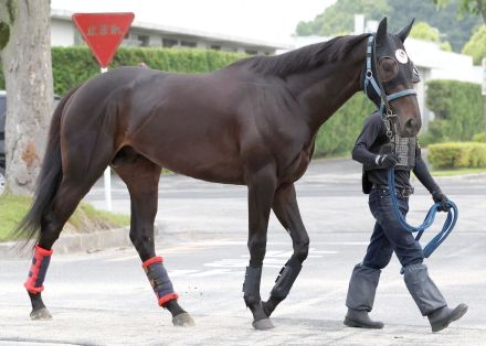 【注目馬動向】京都新聞杯１着のジューンテイク、２着のウエストナウは神戸新聞杯で復帰