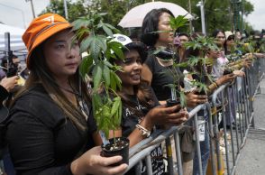 大麻解禁から一転、再規制のタイ政府　業者ら「ハンストで抗議」のワケ