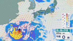 フィリピンの東海上に熱帯低気圧 週明け台風に発達の可能性 東シナ海を北上し沖縄地方に向かうおそれ 最新の雨と風シミュレーション