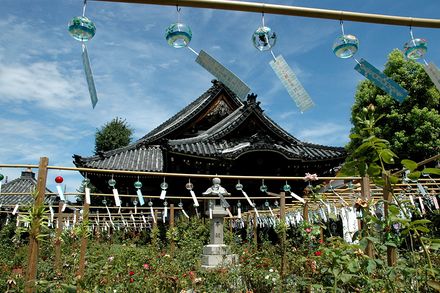 【奈良県 2024年版】 夏の絶景・風物詩10選 涼を感じる“おふさ観音”約2,500個の風鈴まつり