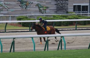 【クイーンＳ】モリアーナが札幌競馬場のダートコースで１週前追い切り　武藤雅騎手「体が成長している」