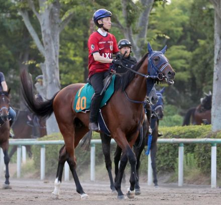 【今日の注目新馬】気持ち乗るレッドベルダンス　母は米２歳ＧⅠ女王／福島５Ｒ