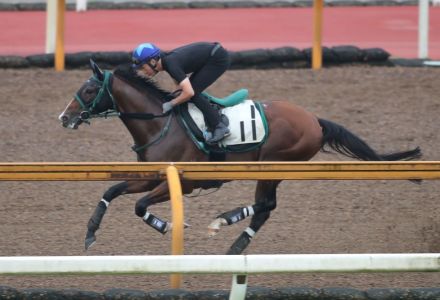 【中京記念】「複勝率8割」をマーク！　軸馬にオススメしたい馬券圏内が濃厚な2頭