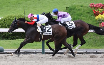 アイビーヒメチャンが２戦目で勝ち上がり　木幡巧騎手「今日は無理なく押し切れた」／福島1R