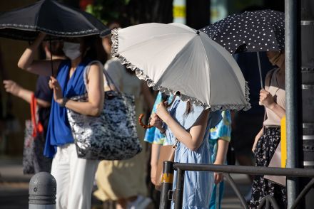 「気温50度」のシナリオも、熱波に備えた都市設計の必要性を専門家が警告