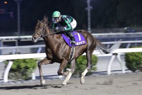 【高知競馬重賞展望・トレノ賞】黒船賞２着馬ヘルシャフトが不動の中心　ユメノホノオを破ったグッドヒューマーは距離がカギに