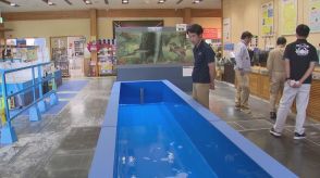 クラファンで新たな水槽設置　カニがメインの水族館…「配管むき出し」「危険」手作り水槽では限界…どう生まれ変わった?