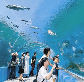 日常へ被災地歩む　魚と再会、笑顔　のとじま水族館、半年ぶり再開