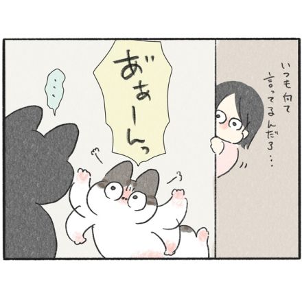 【ネコ漫画】猫語の翻訳アプリで衝撃結果！弟猫は兄猫が好きすぎて、メンヘラ彼女的な一面が…!?【作者インタビュー】