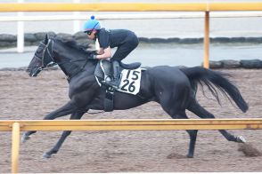 【中京記念】３連単は１００倍未満なしの混戦ムード　単勝は田口貫太騎手のお手馬「１強」　前日最終オッズ