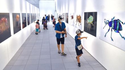 大分県立美術館で養老孟司さん＆小檜山賢二さんの虫展　微細な造形美、眼前に