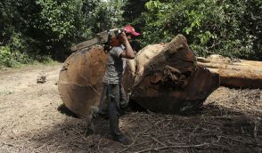 アングル：気候変動と農地拡大、アマゾン地域に迫る「二重の危機」